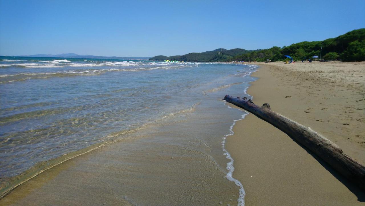 Agriturismo La Banchella 斯卡尔利诺 外观 照片