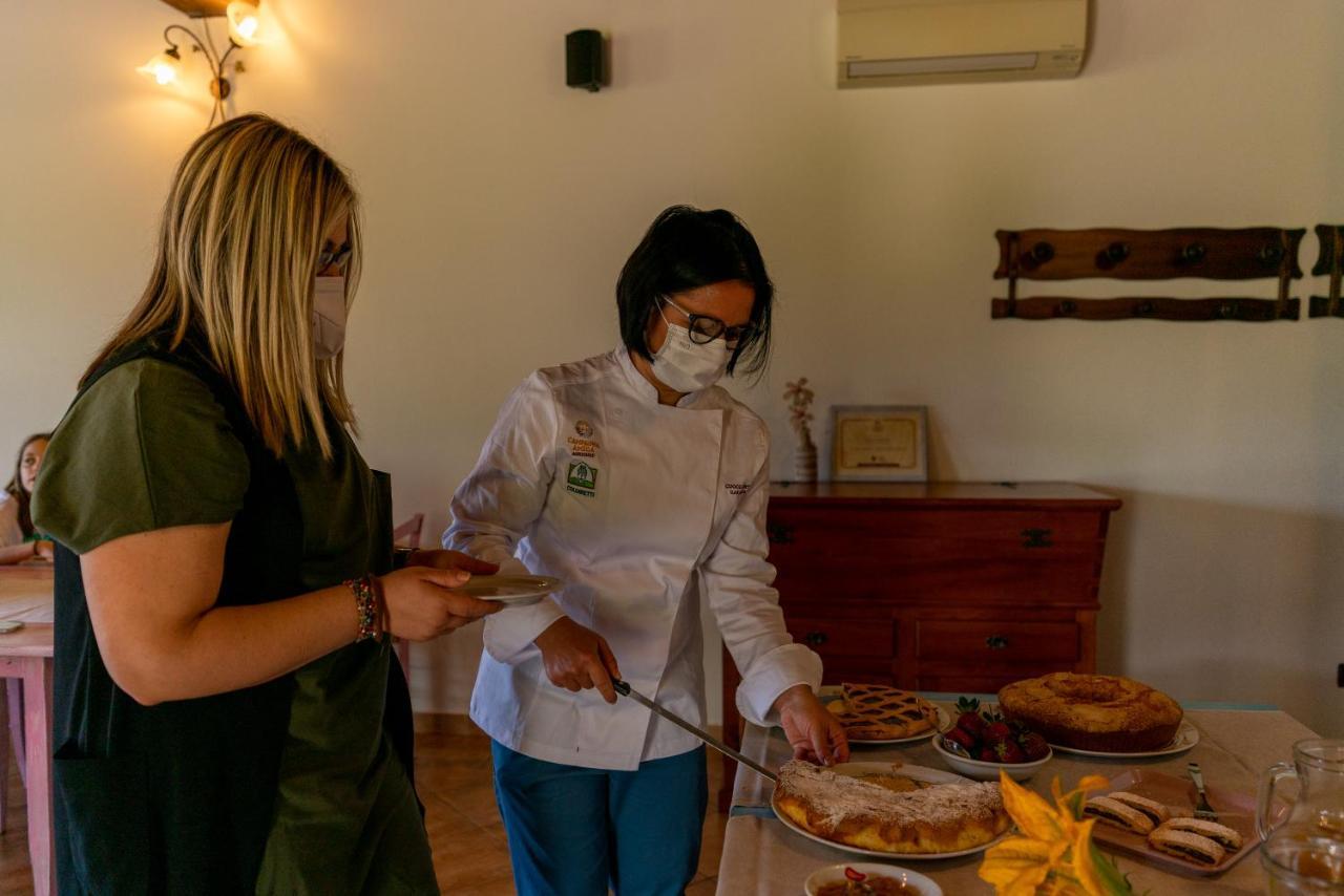 Agriturismo La Banchella 斯卡尔利诺 外观 照片