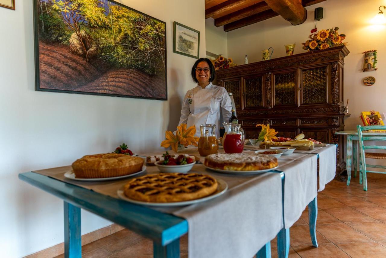 Agriturismo La Banchella 斯卡尔利诺 外观 照片