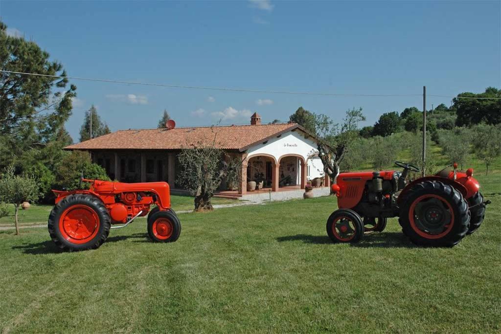 Agriturismo La Banchella 斯卡尔利诺 外观 照片