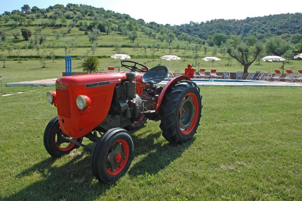 Agriturismo La Banchella 斯卡尔利诺 外观 照片
